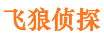 闽侯市调查公司